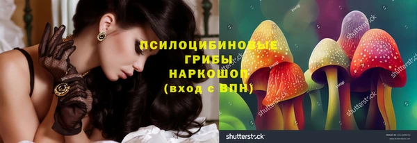 таблы Богородицк