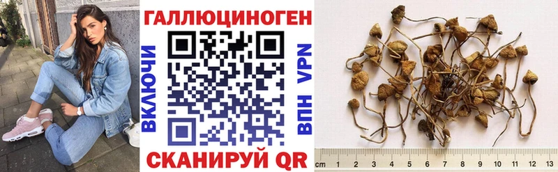 Псилоцибиновые грибы Magic Shrooms хочу Великий Новгород