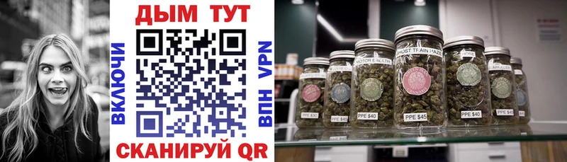 Бошки Шишки план  дарнет шоп  Великий Новгород 